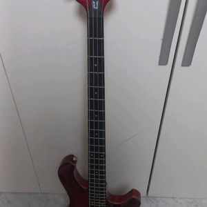 베이스기타 데임폴앤폴250 + JOYO MA-10B앰프