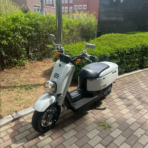 야마하 복스 스쿠터팝니다