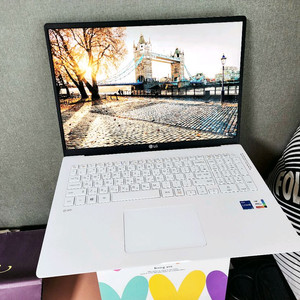 22년 최고급 17인치 LG그램 i5 16G 512GB