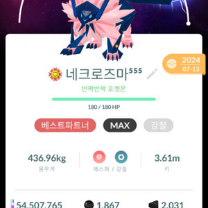 포고 고페스티벌 글로벌 레이드 대리