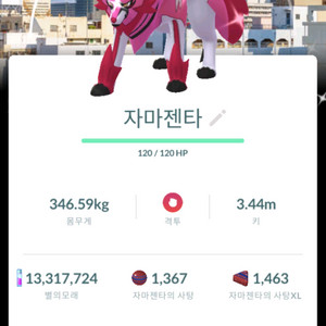 포켓몬고 자시안 자마젠타 오사카 로케로치 팝니다
