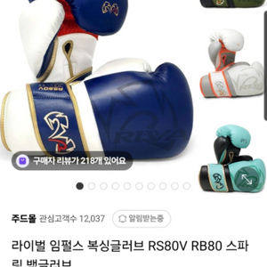 라이벌 RS80V 복싱 글러브 16온스