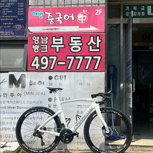 피나렐로 도그마f (알리)