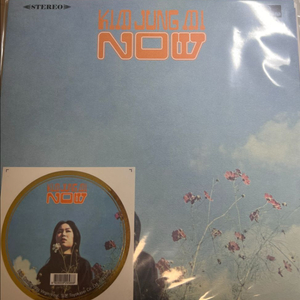 김정미 now lp