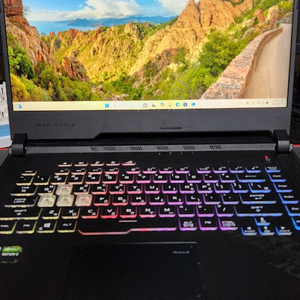 ASUS ROG Strix G512LV 게이밍 노트북