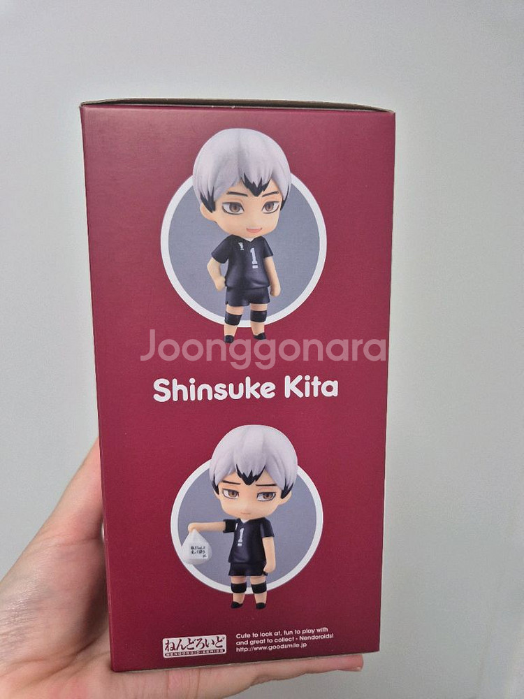 넨도로이드 하이큐 키타신스케--4