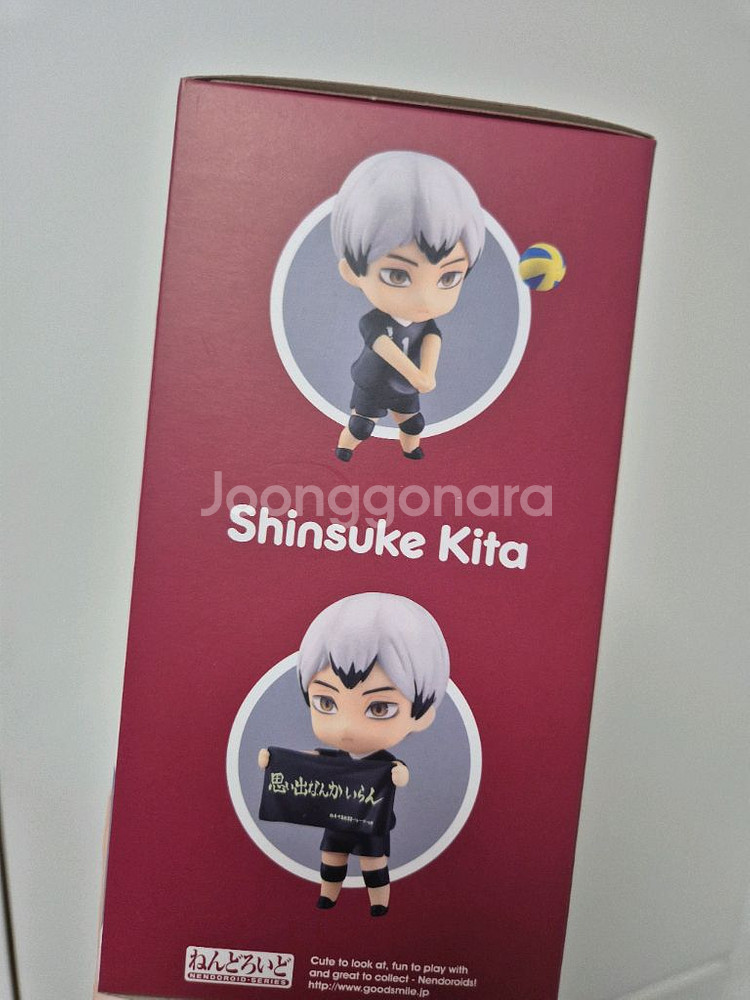 넨도로이드 하이큐 키타신스케--2