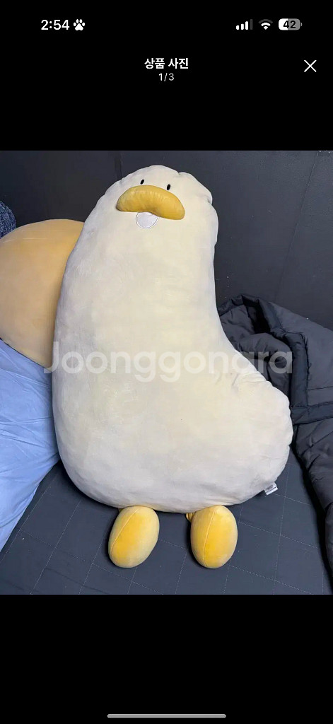 치즈덕 바디필로우--0