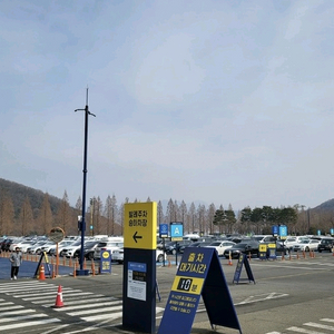에버랜드 6월 8일 발레파킹 발렛