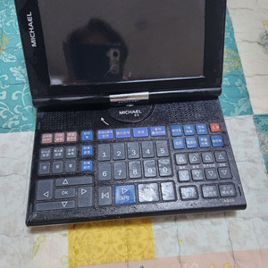 미가엘반주기