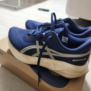 노바블라스트5 270 아식스트랙클럽
