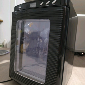 파충류 인큐베이터
