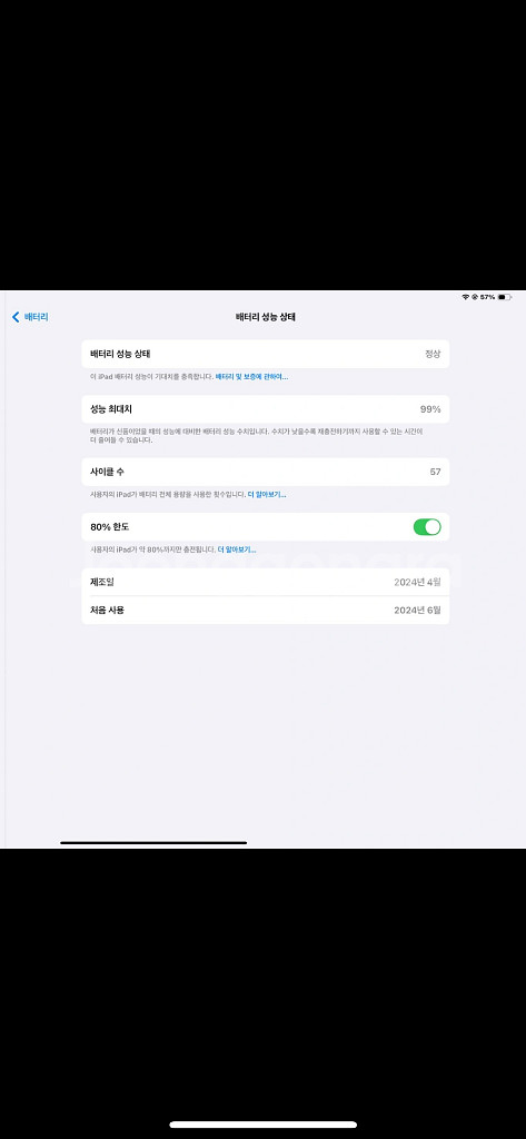 아이패드 프로 M4 13형 1TB 셀룰러 +애플펜슬프로--2