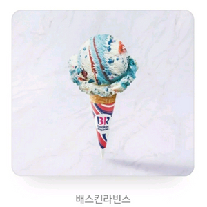 배스킨라빈스 싱글레귤러