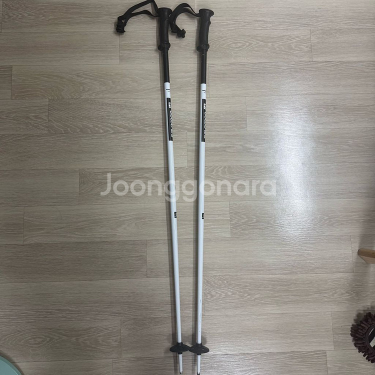 로시뇰 pur suit P100 스키 + 폴대--4
