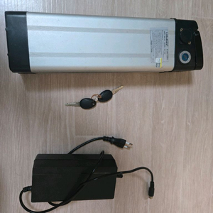 전기자전거 48V 15A 배터리 판매