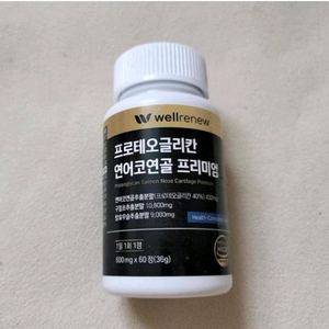 프로테오글리칸