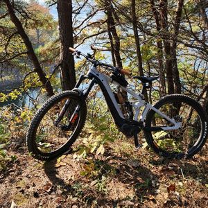 emtb