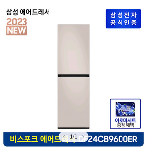 삼성 비스포크 에어드레서 DF24CB9600ER