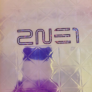 cd음반 2ne1 정규1집+싱글1집
