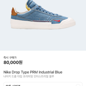 나이키 드롭 타입 PRM 블루 250