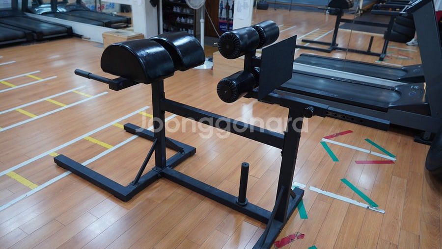 GHD 로만체어 백익스텐션--0