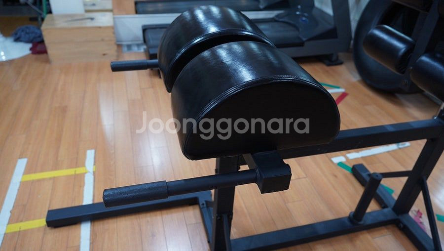 GHD 로만체어 백익스텐션--3