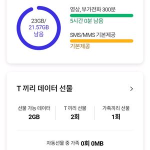 sk데이터 2기가 sk데이타