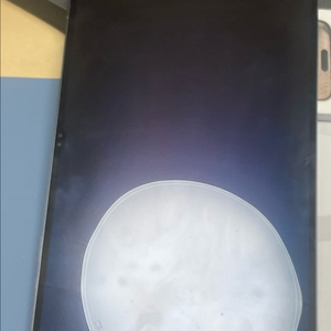 갤럭시탭S8울트라 256G
