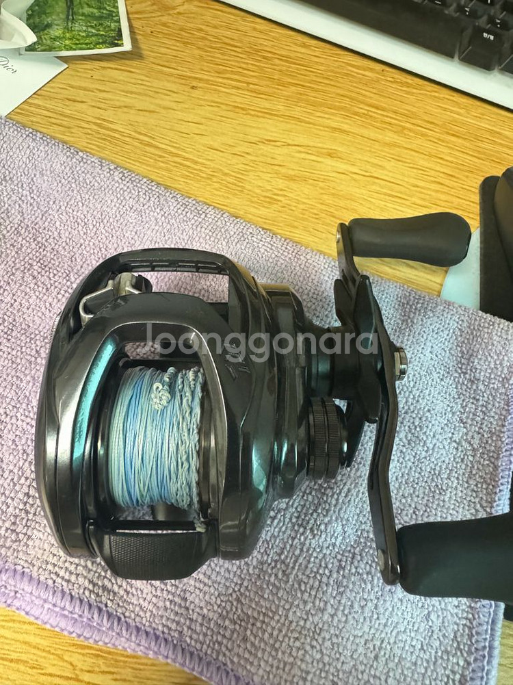 다이와 타튤라300 베이트 릴(우핸들)--0