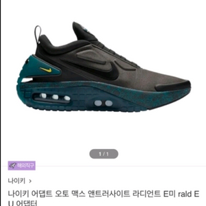 나이키 어댑트 오토맥스 250mm