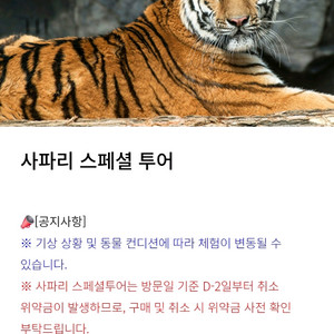 에버랜드 스페셜투어 발레파킹 팝니다