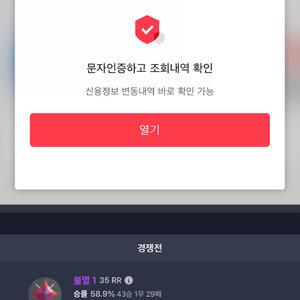 발로란트 대리