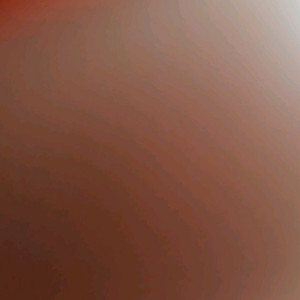 333