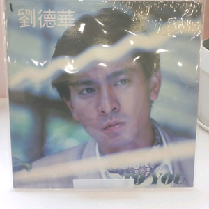 팝 lp 유덕화