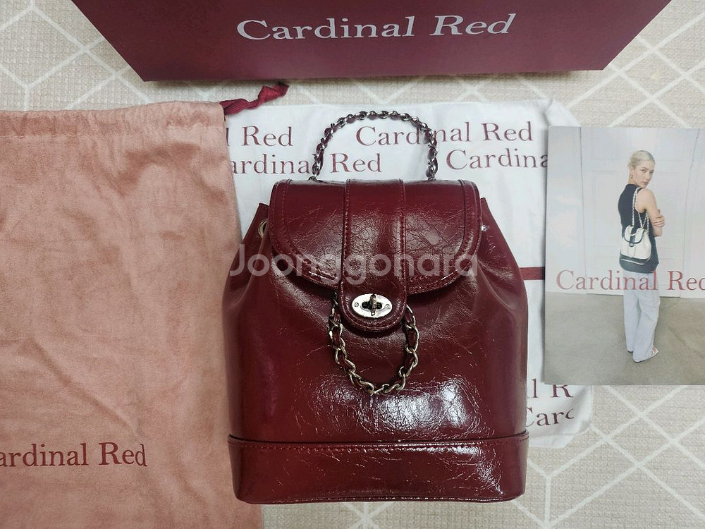 Cardinal Red 하우아백레드 카디널레드백팩가방--0