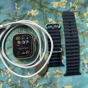 애플워치 울트라2 49mm SSS급