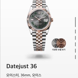 롤렉스 윔블던 18k베젤 로즈골드 콤비 36mm