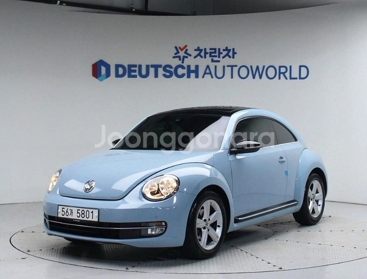 #@앱전용 더비틀 파격세일 파스텔색상--6