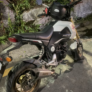 혼다 msx125