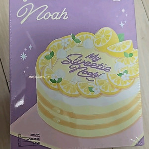 플레이브 노아 생일키트 미개봉 판매