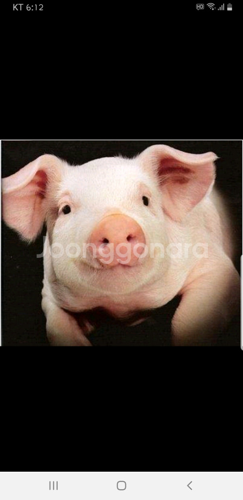 롯데시네마1인+스위트콤보50퍼 할인쿠폰. 바로가능--0