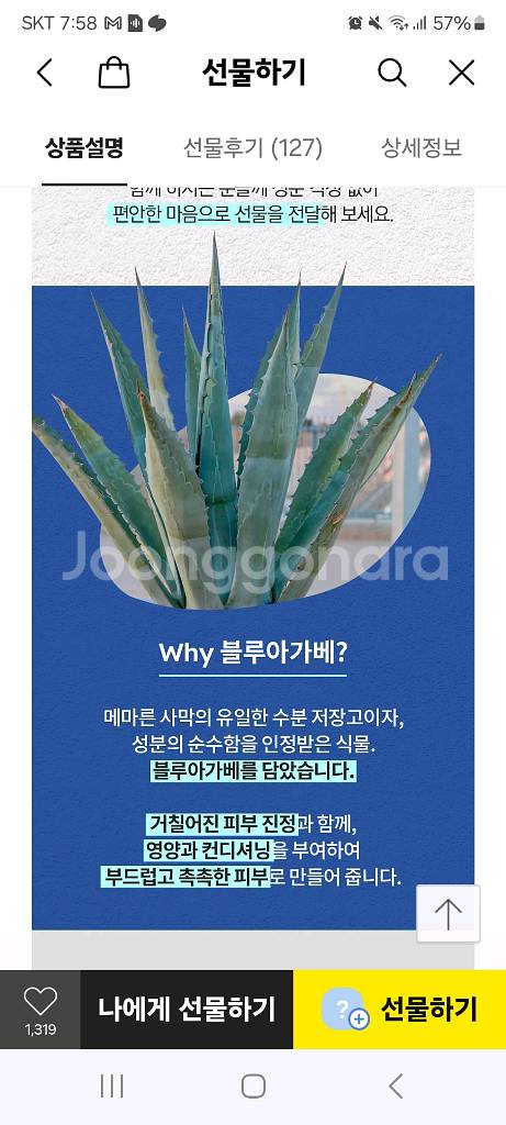 (카카오선물)스카이보틀 블루아가베 핸드크림,미니핸드워시--4