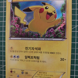 포켓몬카드 피카츄 XY 프로모