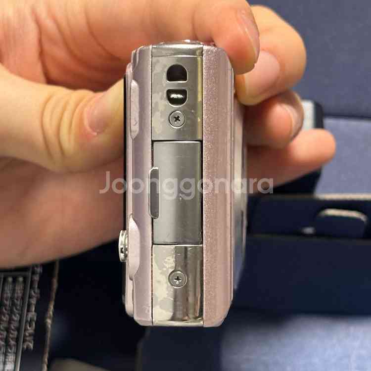 panasonic lumic dmc-fx55--4