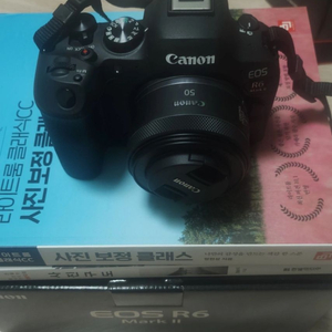 캐논 r6m2 rf50mm