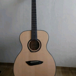 고퍼우드g110