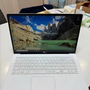LG 엘지 노트북 그램 15인치 15Z95N-GP79M