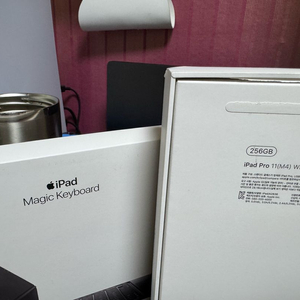 아이패드 프로 11 M4 256GB(애캐플)팝니다.