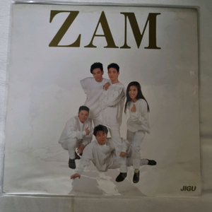 ZAM 1집 LP